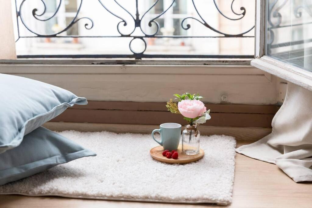 Le Lumineux 50 M² Gare/Chateau/Wifi/Netflix Versailles Luaran gambar